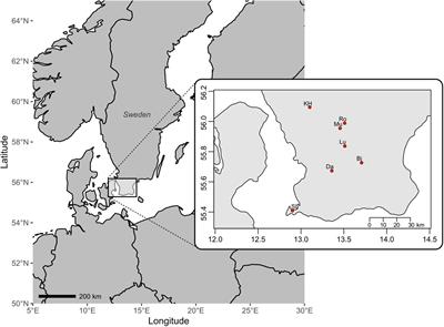 Genetic Diversity and Population Structure in Bryophyte With Facultative Nannandry